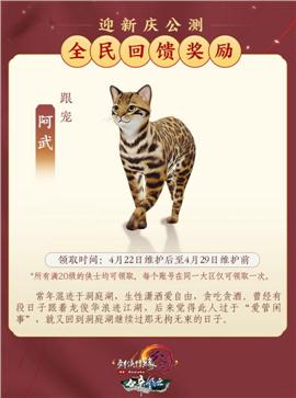 剑灵私服 探测