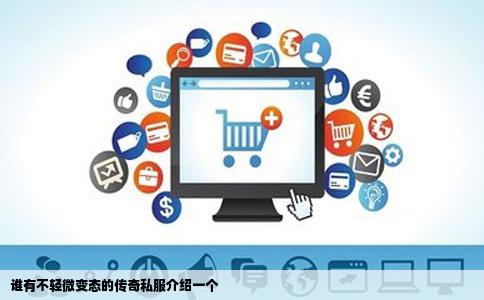 谁有不轻微变态的传奇私服介绍一个