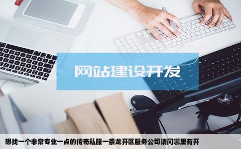 想找一个非常专业一点的传奇私服一条龙开区服务公司请问哪里有开